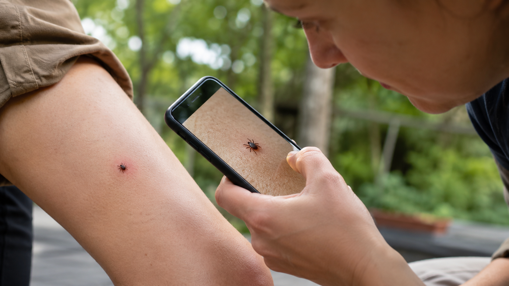 how to check for ticks on humans